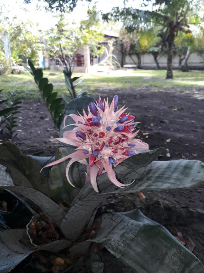 Refugio Das Bouganvillea Igarassu Екстер'єр фото